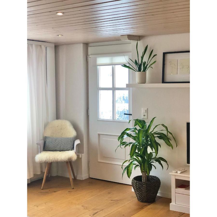 Cozy & Warm Apartment In Oberaegeri エクステリア 写真